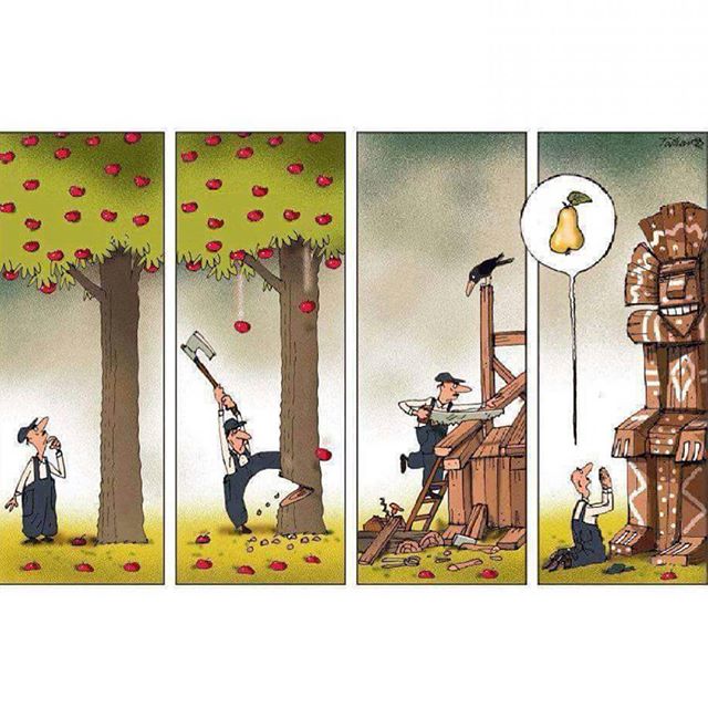 ds palai social Cartoons 1