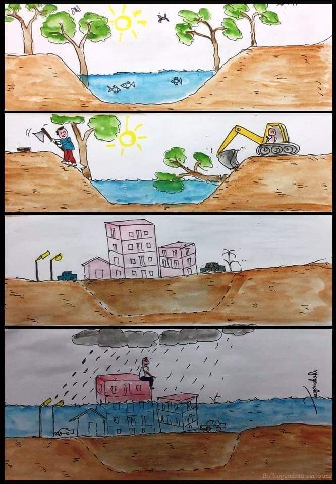 ds palai social Cartoons 7