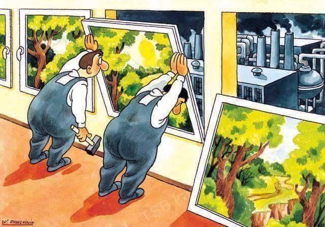 ds palai social Cartoons 8