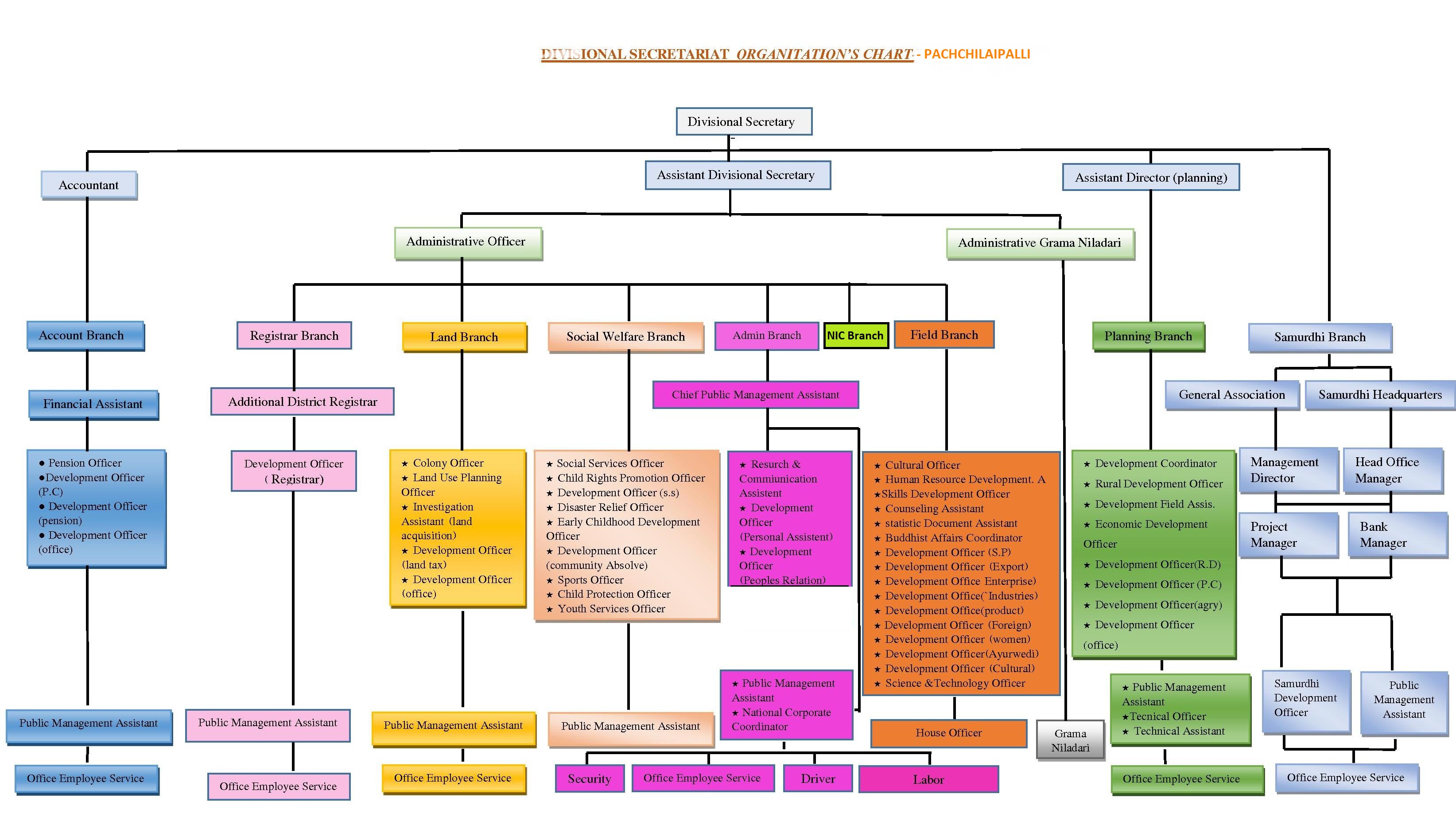 organitation chart english pdf pdf 01