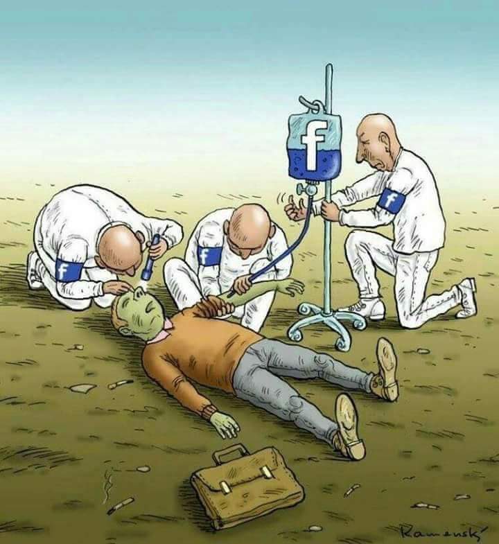 ds palai cartoons 30 17