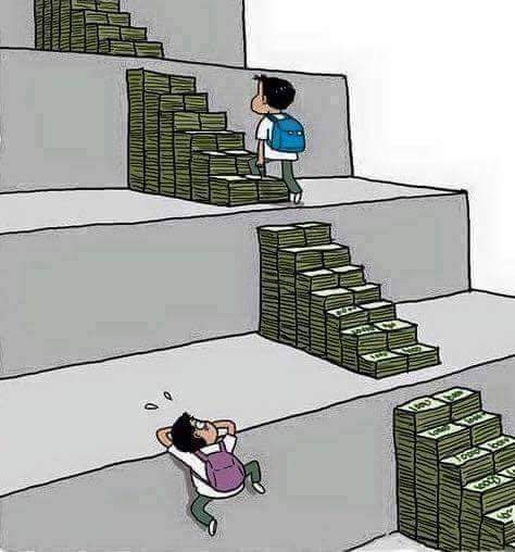 ds palai cartoons 30 30