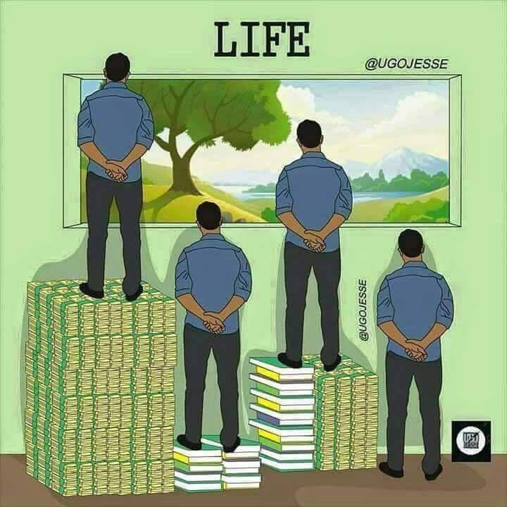 ds palai cartoons 30 40