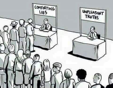 ds palai cartoons 30 46