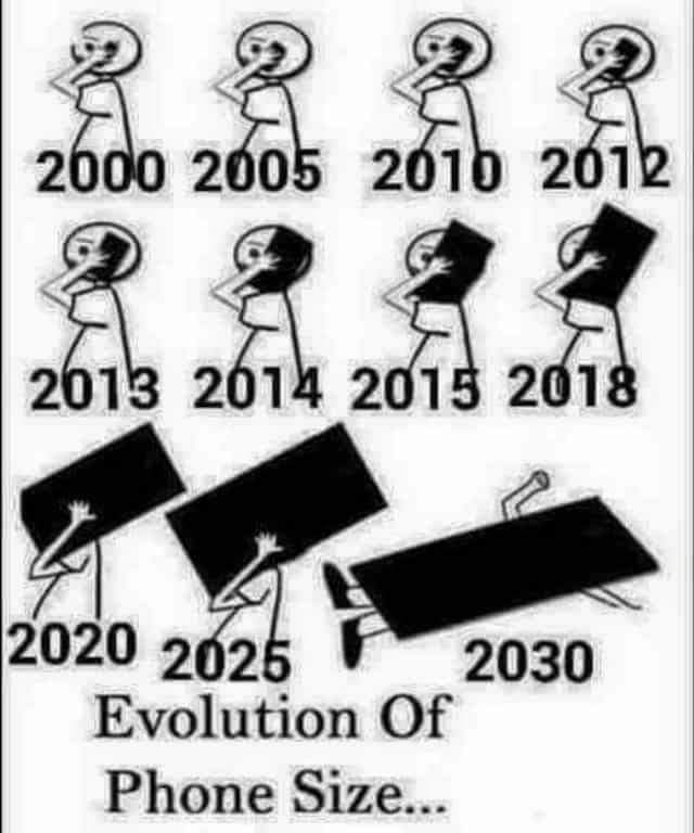 ds palai cartoons 30 55