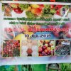 சௌபாக்கியா புதுவருட சந்தை - 2019